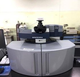 Raman Spectrometer